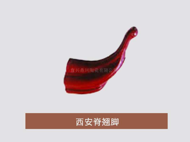西安脊翘脚